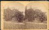 William Bell's Stereograph of Botanical Garden, Rio de Janeiro, Corcovado Mountain, 1882