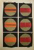 Spectroscopic images from the Italian transit expedition to India, 1874